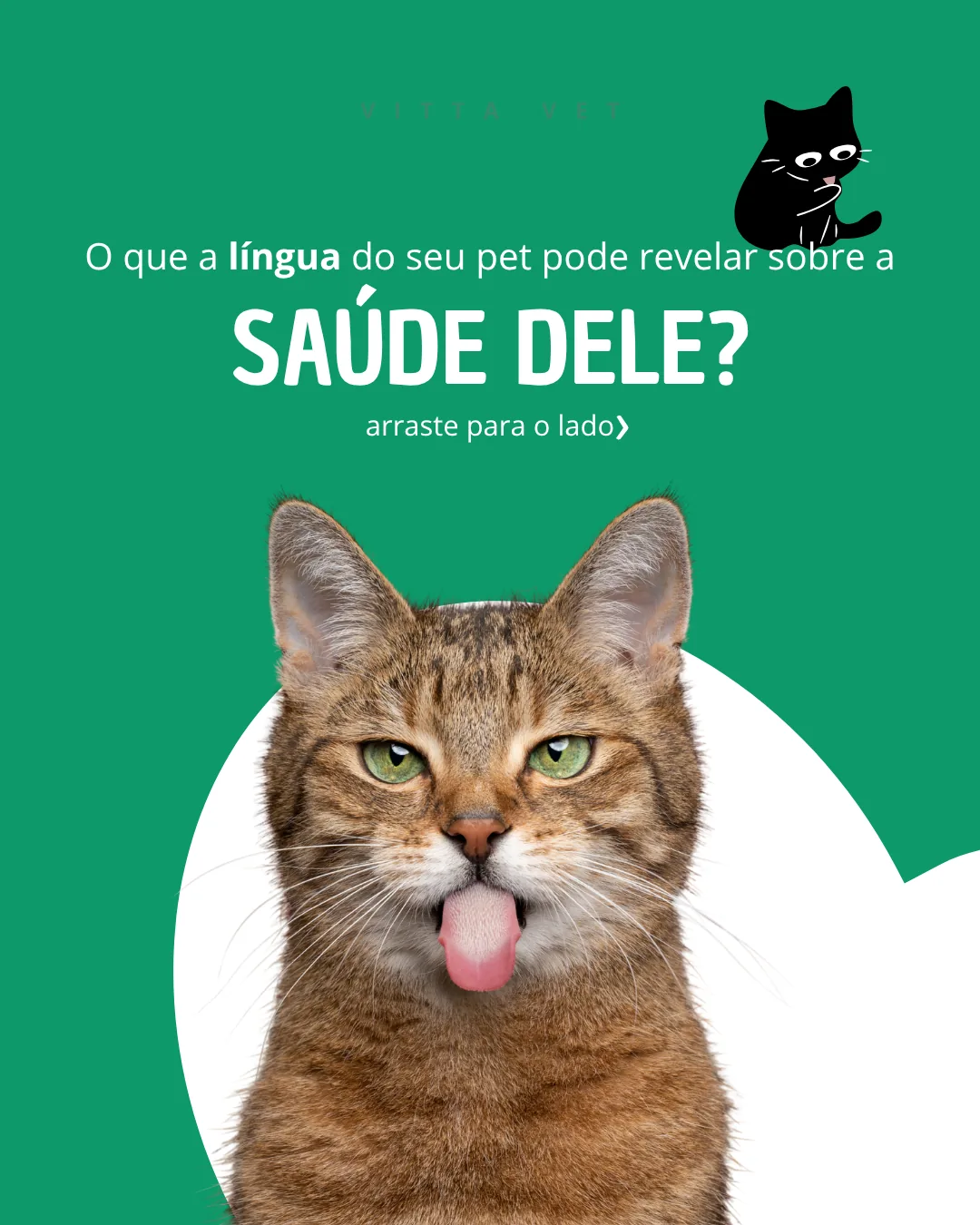 Post da VittaVet: o que a língua do seu pet pode revelar sobre a saúde dele