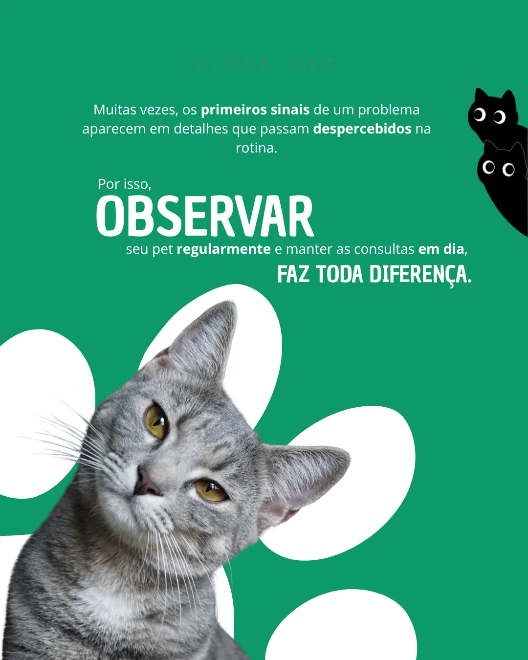 Post da VittaVet: observar seu pet regularmente faz toda diferença