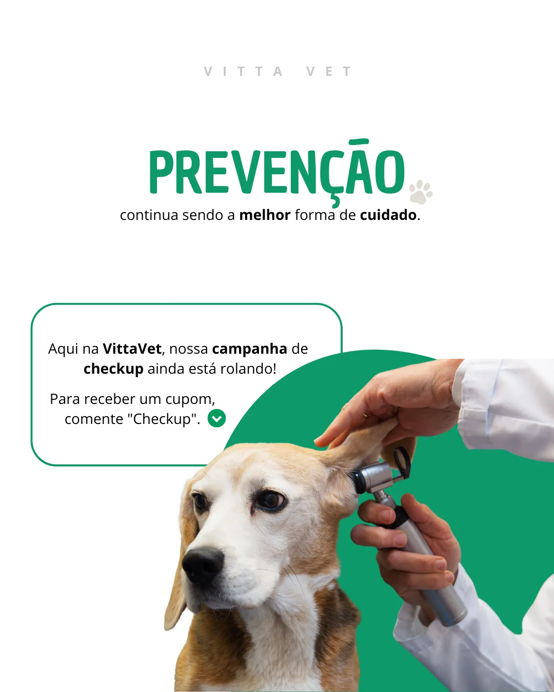 Post da VittaVet: prevenção continua sendo a melhor forma de cuidado
